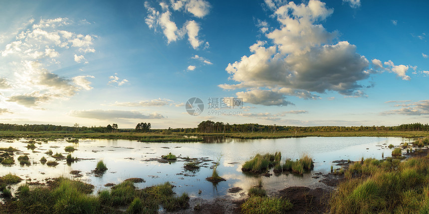 全景景观夏季日落湿地图片