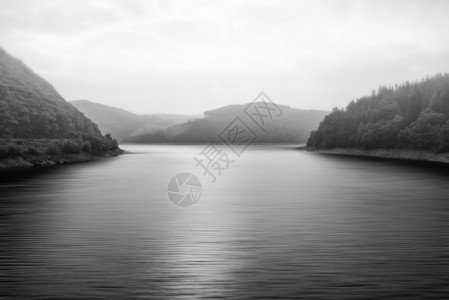 黑白相间的薄雾湖景观被树木包围图片