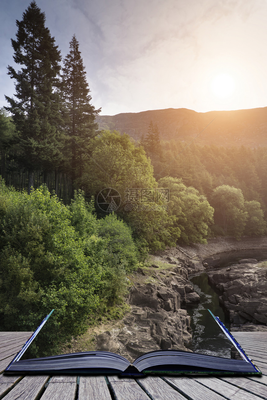 美丽的早晨景观形象的阳光树木进入峡谷小溪下的书形象图片