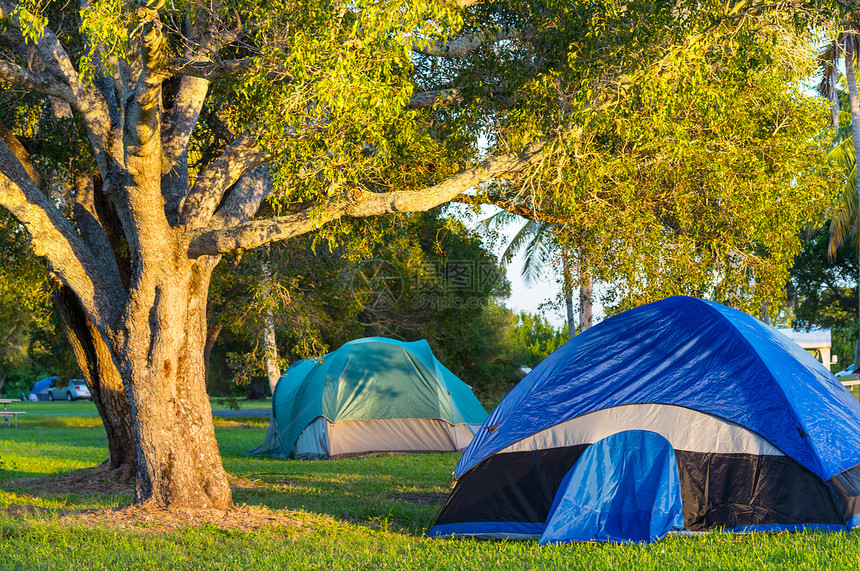 绿色草原上的帐篷图片