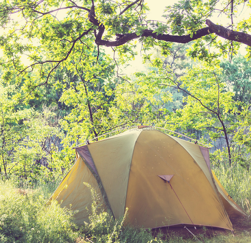 森林里的帐篷图片