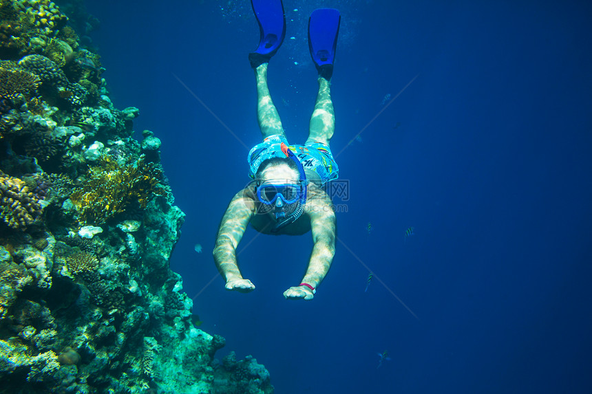 潜水者用的通气管,水下呼吸管图片