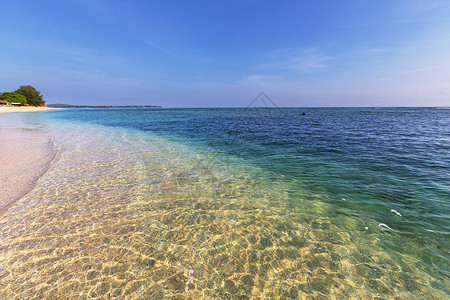 印光大师吉利的热带海滩背景