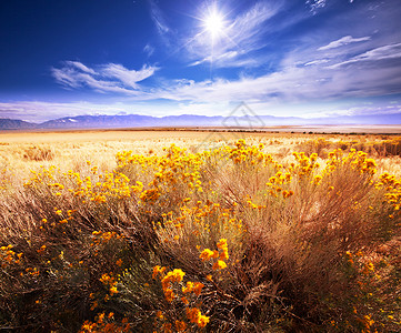 草原景观荒野梅萨达高清图片