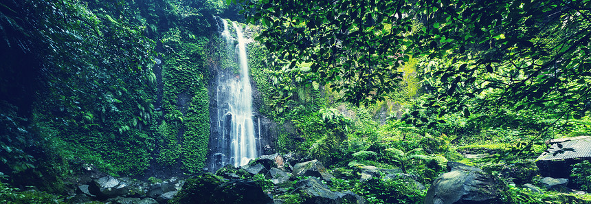 印度尼西亚丛林中的瀑布图片