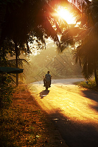 斯里兰卡的道路图片