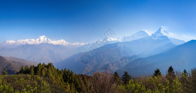 达乌拉吉里喜马拉雅山美丽日出的全景背景