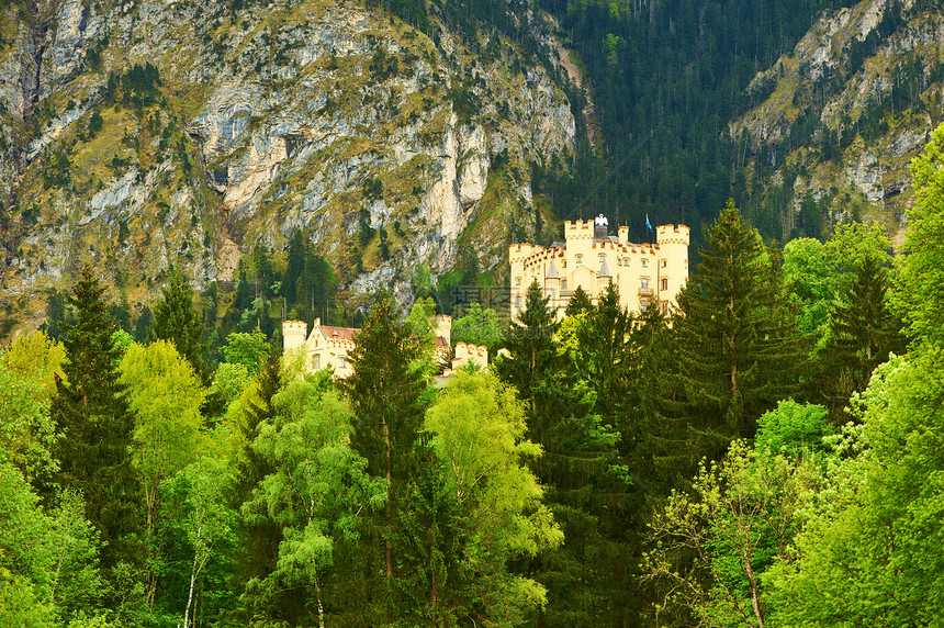 德国巴伐利亚的霍恩什旺瑙城堡图片