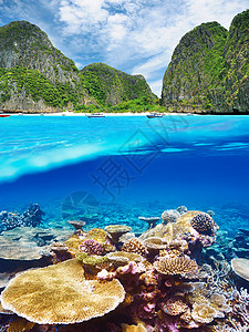 美丽的泻湖与珊瑚礁底部水下水以上的分裂景观背景图片