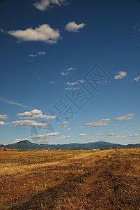 100分阳光明媚的天空背景