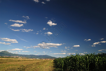 八楼阳光明媚的天背景