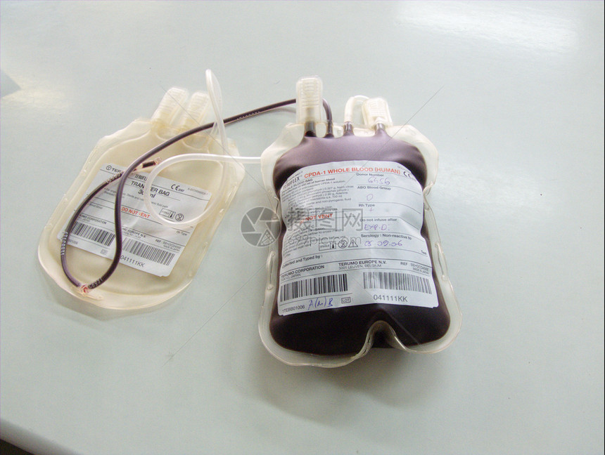 白色背景下的献血袋图片