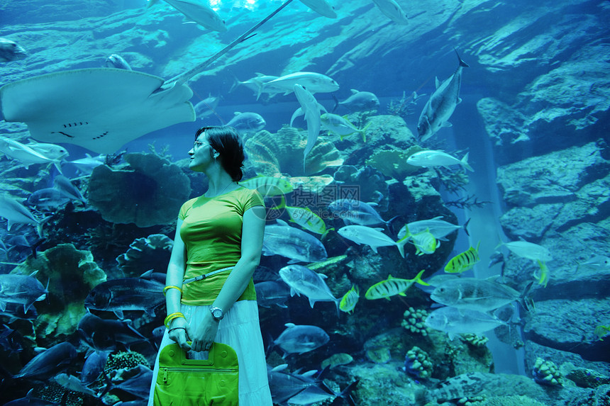 轻的女人带着蓝色的大水族馆,背景很多鱼图片