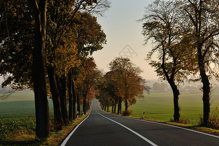 乡村道路秋天的季节,明亮的橙色早晨日出图片