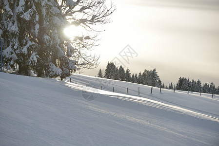 冬季自然景观山岳与树木新鲜的雪图片