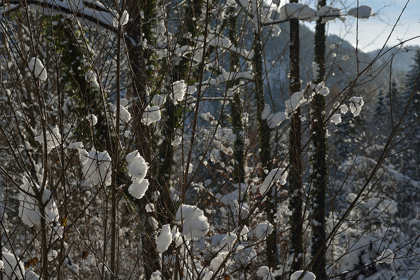 自然山岳冬季景观与树木新鲜的雪图片