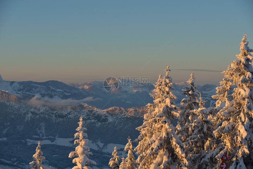 自然山岳冬季景观与树木新鲜的雪图片