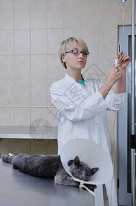 兽医妇女手术室工作,治疗生病的动物猫狗,给予帮助医疗照顾图片