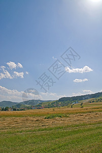 夏季景观尼康背景图片
