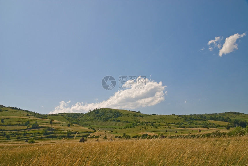 夏季景观图片