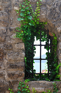窗户旧植物背景与石墙图片