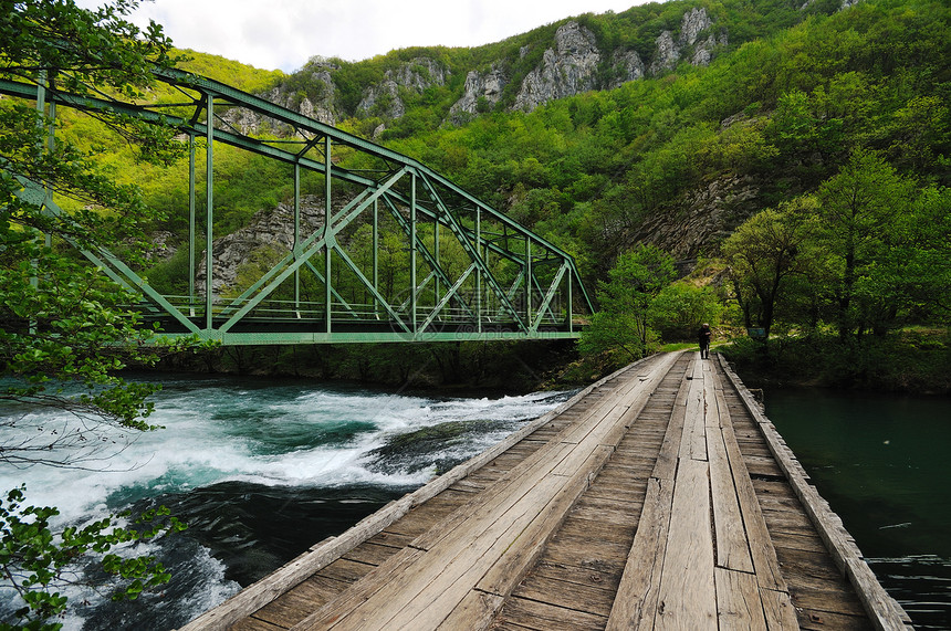 美丽的桥大自然的野生河流上图片
