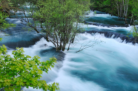 美丽的自然景象与河流瀑布春天的图片