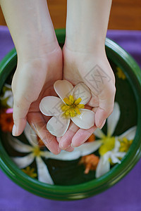 水疗美容女手花水中图片