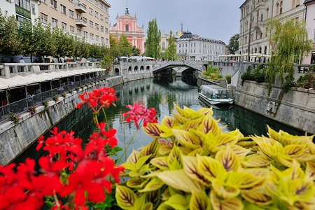 城市卢布尔雅那,斯洛文尼亚首都,古老的桥花河流图片