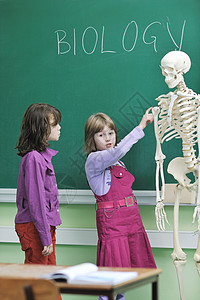 快乐的孩子们学校课堂上笔记,老师学生物学解剖学课程图片
