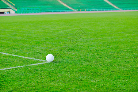 白色足球草地上的目标体育场的背景图片
