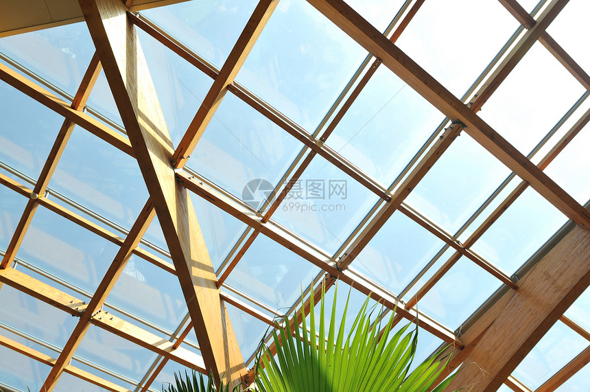 现代家庭屋顶木屋顶建筑,许多窗户,蓝天绿色棕榈叶图片