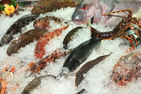 冰中冷冻的海鲜鱼高清图片