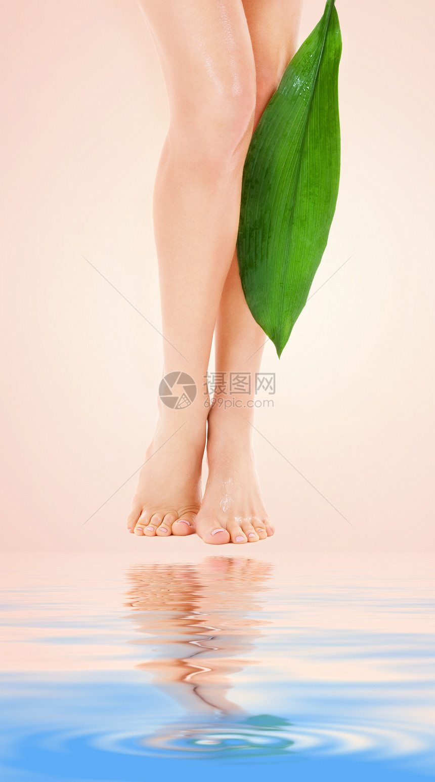 米色背景上绿叶的女腿的图片图片
