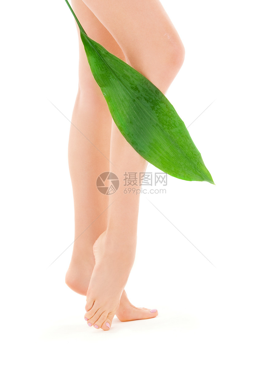 绿叶覆盖白色的女腿的图片图片