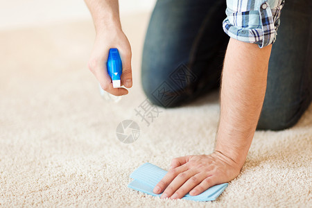 清洁家庭用布地毯上特写男清洁污渍图片