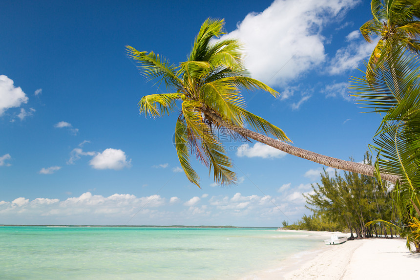海滩,自然,海洋,夏季休闲热带海滩与棕榈树图片