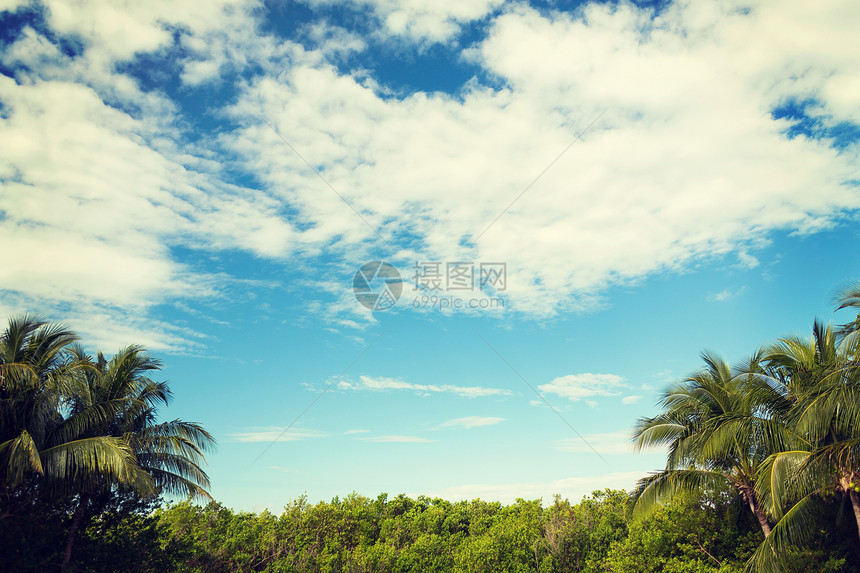 自然背景绿色森林多云的蓝天图片