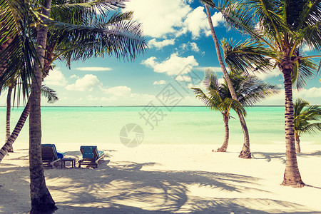 海滩,自然,海洋,夏季休闲热带海滩与棕榈树图片