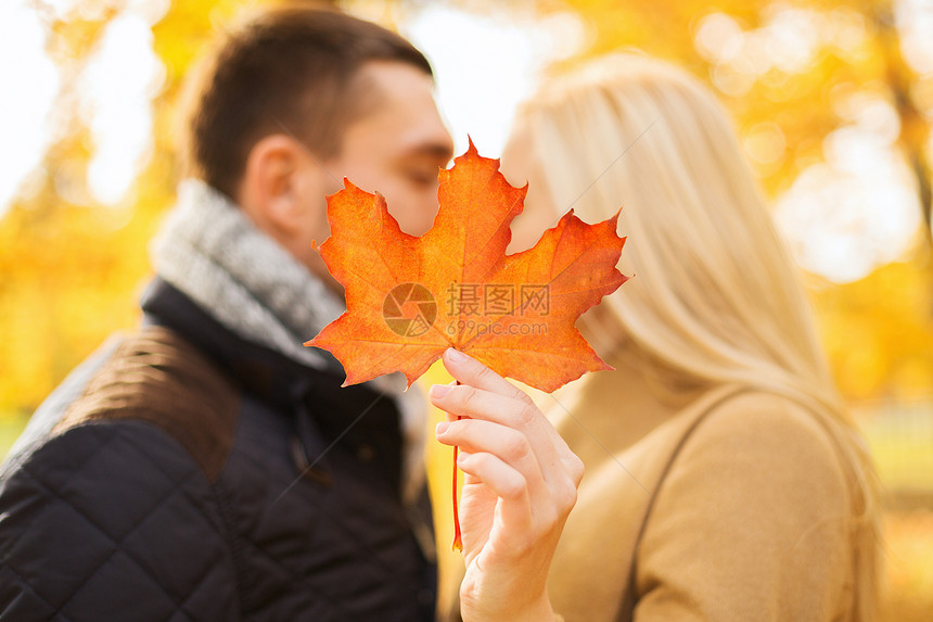 爱,关系,家庭人的秋天的公园里亲密的情侣枫叶亲吻图片