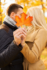 爱,关系,家庭人的秋天的公园里亲密的情侣枫叶亲吻图片