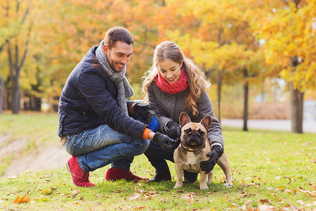照顾,动物,家庭,季节人的微笑夫妇与狗秋季公园图片