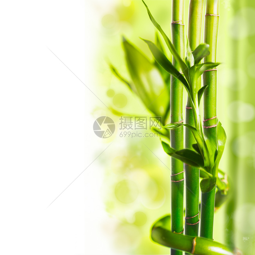 绿色竹子背景,水疗图片