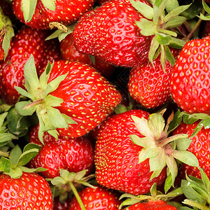 草莓浆果背景特写图片