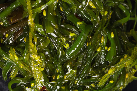海藻沙拉碗里的健康海鲜图片