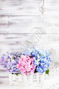 白色篮子里的绣球花家庭的花卉装饰图片
