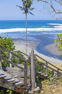 楼梯热带海滩,异国情调的植物棕榈树图片