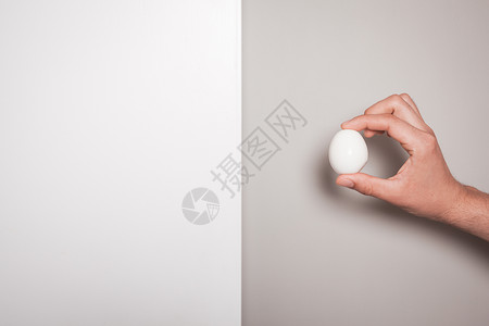 个人的手着个鸡蛋,背景双色的图片