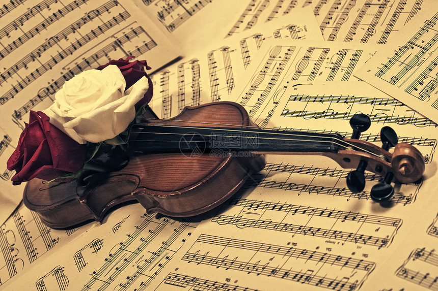 旧小提琴与音符玫瑰特写xa图片