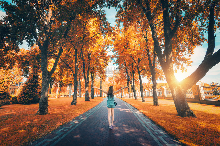 美丽的景色秋天的树巷快乐的轻女孩举手臂秋天的神奇公园景观与女人,树木,黄叶,人行道生活方式背景公园图片